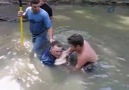 70 Kiloluk Balık Çıplak Elle Yakalandı