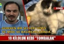 18 kiloluk kedi Tombalak Son yemeği veterinerlik etti!haberturk.com
