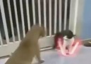Kime şekıl yapiyorsunuz olum