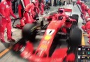 Kimi hits his mechanic.Warning graphic view.Hope he is ok.