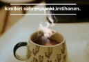 .Kimileri canım sol yanımkimileri sabrım sanki imtihanım...Video &