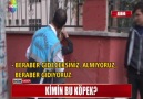 KİMİN BU KÖPEK