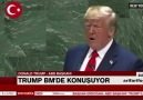 Kim Yaptı Layn BunuBen Trump... - Burak Alperen Çınar