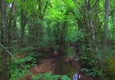 Kırklareli - İğneada Longoz Ormanları Milli Parkı Video...