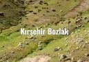 Kırşehir Bozlak - Vay Haline Vay