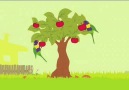 Kısa Animasyon / Elma Ağacının Hayat Döngüsü