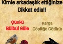Kış Güneşi le 5 mars 2018