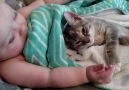 Kitten and Baby are Best Friends