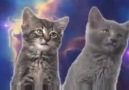 KITTENS SING ABOUT THE UNIVERSE!