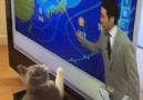 Kitty and weatherman