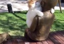 Kitty Hugs!!