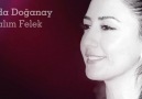 Kızılırmak Türkü Diyarı - Eda Doğanay - Zalım Felek Facebook