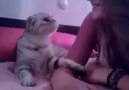Kızı tavlayan çapkın kedi :))