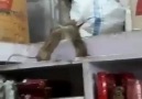 K1 Locaie Supermarket
