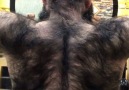 Know someone this hairy who needs their own transformation..