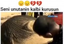 Koç Daği TV - Seni Unutanin Kalbi Kurusun