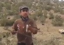koÇera peynir ani D kemençe