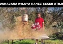 Kola ve mentos bir damacana da bir araya gelirse