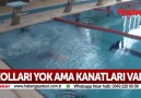 Kolları yok ama kanatları var