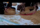 koma botan