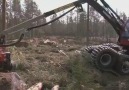 Komatsu 911 - Forestry Machines