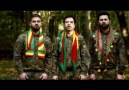 Koma Zerdest Kal - Rojava Shingal