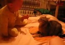 KOMEDİ - Bebek vs kedi Facebook