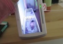 Komik Video - Doğuştan çakal ikizler Facebook