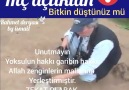 Komşusu açken Kendisi tok yatan bizden değildir.Hz.Muhammed s.a.v