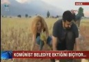 Komünist Başkan Ektiğini Biçiyor!