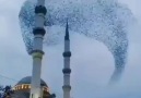 Konya Hacıveyiszade Camii&gurub... - Ümmühan Ceylan AY