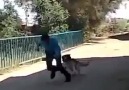 Köpeği Korkutan Adam Kopmak Garanti )