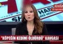 Köpeğimi kim öldürdü !