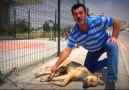 Köpeği motorun arkasına bağlayıp koşturarak öldüren şerefsizler