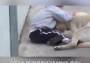 Köpeğin down sendromlu çocuğa yaptığını... - Çocuk Psikolojisi