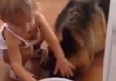 Köpeğini kaşıkla besleyen minik kız