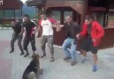 KÖPEK DAYANAMIYOR SONUNDA OYUNA DALIYOR.. İZLEYİN BAYILACAKSINIZ!