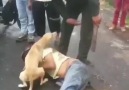 Köpekler kadar sadık kalmak diye buna denir insanoğlu