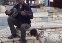 Köpek Paranıy Kokusunu Alusa...