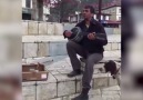 Köpek rızkına göz dikince savuşturma taktiğine geçen sokak sanatçısı
