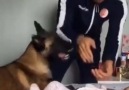 Köpekteki merhamet insanda yok!!!!!