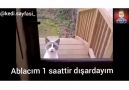 Koptum ya resmen dile gelmiş D D D