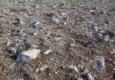 KORAMAZ DAĞINDANBÜNYAN ve ERCİYES... - Muammer Tanriöver