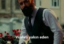 Koray Avcı- Asi & Mavi