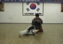 Korea Hapkido