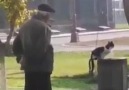 Korkmasın Diye Kedinin Su İçmesini Bekleyen Amca