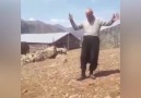 KÖR OLASI ÇİNLİLER DAYIYI NE HALE... - Mustafa Yılmaz My - Müzik