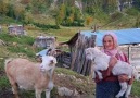 Köyde Hayat Var - Hakkını helal eyle garip Anam Facebook