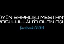 Köyün sarhoşu Mestanın Raslullha olan aşkı..