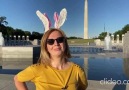 Kriminal Press - Jurnalist Aynur Talıbova Azrbaycan polisin v dovşanlarına Amerikadan baxış